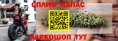 дмт Аргун