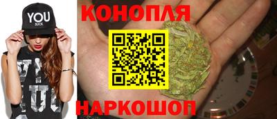дмт Аргун