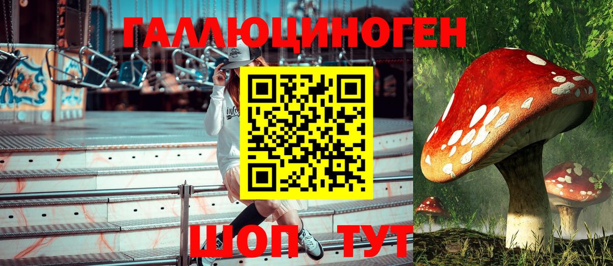 Галлюциногенные грибы Cubensis Выкса